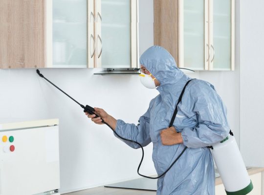 The Ultimate Pest Control Handbook Tips and Techniques