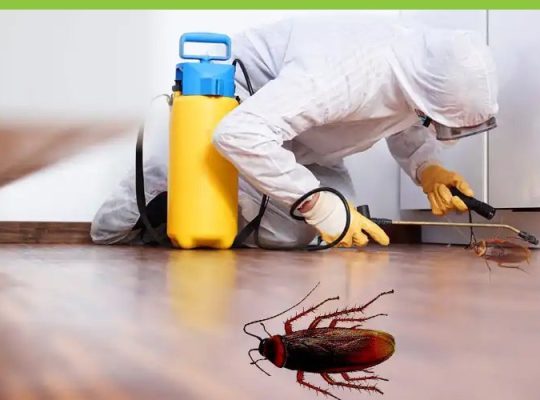 Commercial Pest Control: Enhancing Workplace Health and Safety