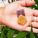 Top 10 HHC Gummies to Try in 2024