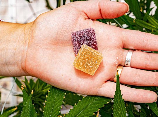 Top 10 HHC Gummies to Try in 2024