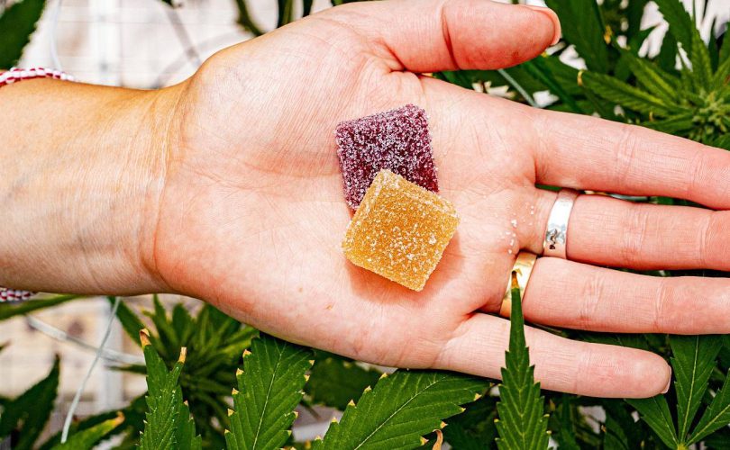 Top 10 HHC Gummies to Try in 2024